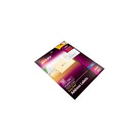 ETIQUETA INKJET TRANSPARENTE 1 X2 5/8  750PZ - Envío Gratuito