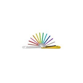 Plumones Bic Evolution Rainbow 12 pzas - Envío Gratuito